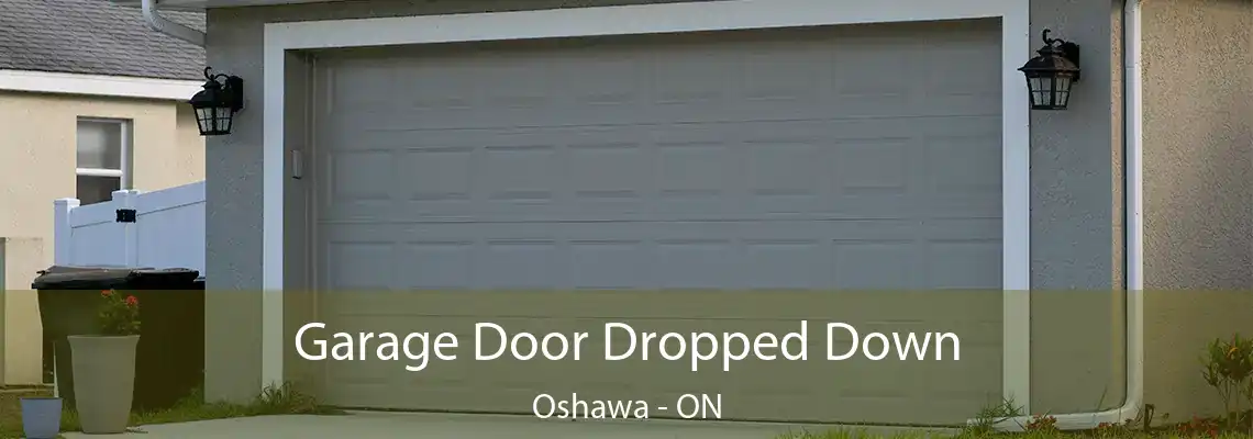 Garage Door Dropped Down Oshawa - ON
