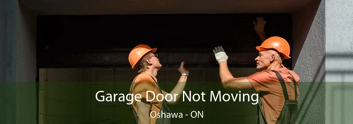 Garage Door Not Moving Oshawa - ON