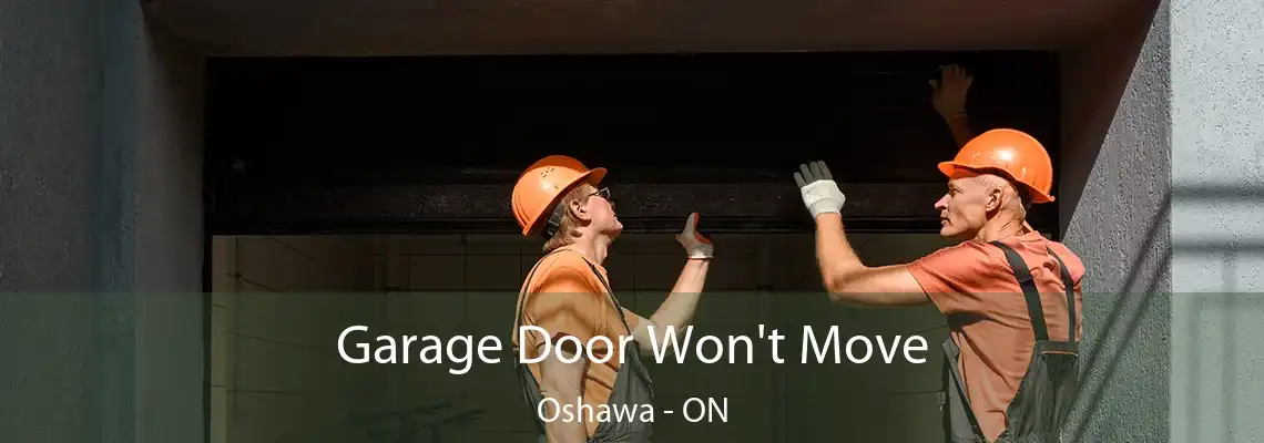 Garage Door Won't Move Oshawa - ON